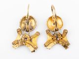 an image of a pair of gold earrings on a white background
