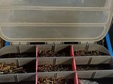 a box with a bunch of screws in it on a table