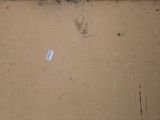 a piece of cardboard on the ground with a sticker on it