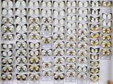 de nombreux types de papillons exposés dans une vitrine