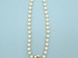 a close up of a pearl necklace on a blue surface