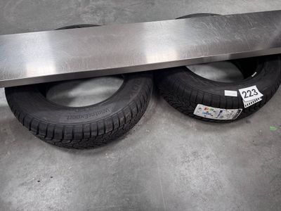 1 lot de deux pneus THE PAIN TYRE