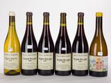 six bouteilles de vin sont alignées sur une surface blanche