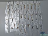 many different types of necklaces hanging on a wall