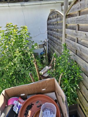 a box of gardening supplies sitting outside of a house