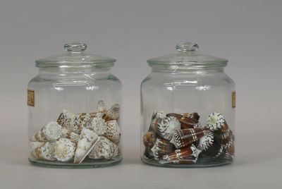 two glass jars with shells inside of them on a table