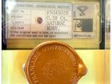 une pièce exposée dans une vitrine