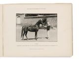 an old black and white photo of a man standing next to a horse