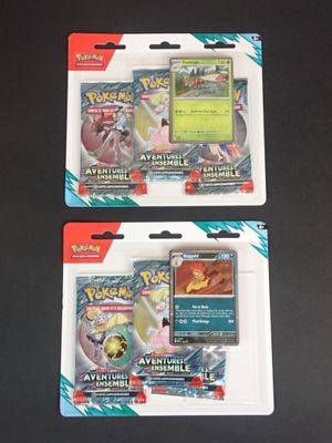 Deux cartes à collectionner Pokémon sont posées sur une surface noire
