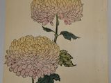 an image of a painting of two flowers on a wall