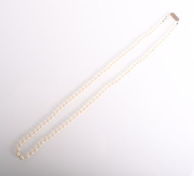 gros plan d'un collier de perles sur une surface blanche