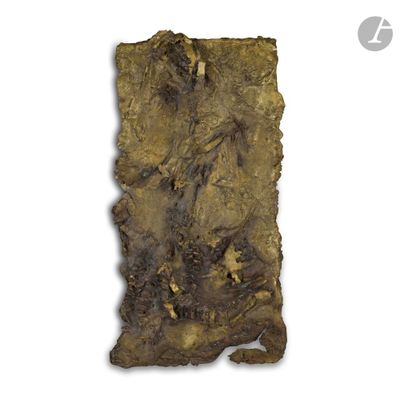 an image of a piece of wood with a piece of bark on it