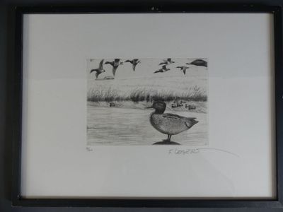 a picture of a picture of a duck in the water