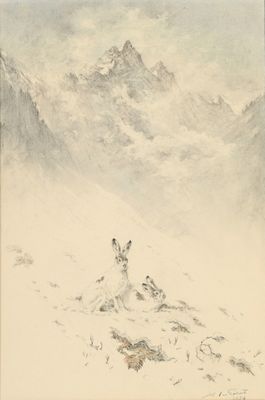 dessin représentant une chèvre de montagne dans la neige, avec une montagne en arrière-plan