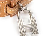 leather dog collar with padlock and padlock charm