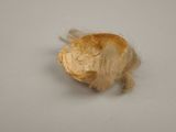 a small piece of food that is on a table
