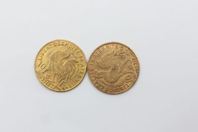 deux souverains d'or britanniques, dont l'un est un souverain et l'autre est un souverain