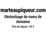 Photo 1/1 du lot