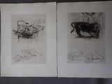 deux dessins en noir et blanc représentant un taureau et une vache