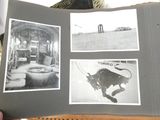 une personne tenant un livre sur lequel figurent des illustrations représentant un taureau