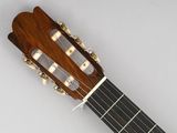 an image of a close up of a guitar on a white surface