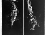 deux photographies en noir et blanc d'un oiseau dans l'obscurité