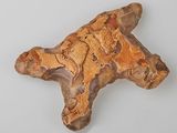 an image of a piece of wood with a starfish on it