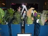 many potted plants in the middle of the room