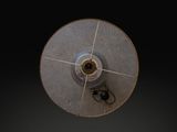 an overhead view of a light fixture with a spider on it