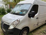 une camionnette blanche garée dans l'herbe près d'un arbre