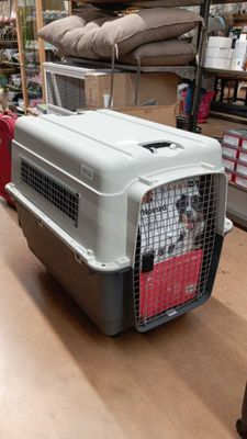 Caisse de transport Nomad XXL gris foncé, Long.