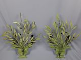 pair of olive branch wall sconces