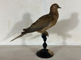 un oiseau perché au sommet d'un socle