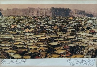 une photo montrant un grand groupe de crabes dans l'eau