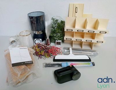 Lot de 13 articles à usage domestique et de décoration dont …