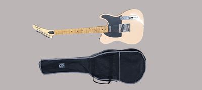 une image représentant une guitare et un étui sur fond gris