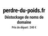 Photo 1/1 du lot