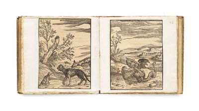 un livre ouvert sur lequel figurent deux dessins représentant un homme et un chien