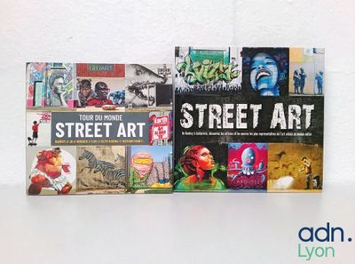 Lot de 2 livres sur le street art - GEOART/LAROUSSE - OCCASI…