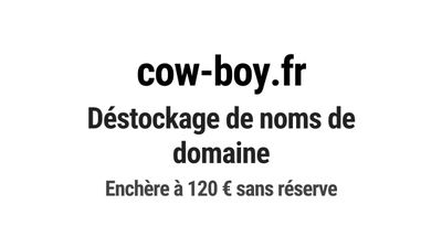 Nom de domaine cow-boy.fr. Catégorie: Art et culture.