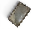 an image of a silver plate with a dog in it