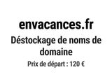 Photo 1/1 du lot