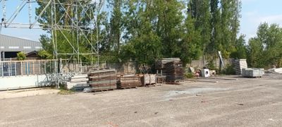 beaucoup d'arbres qui se trouvent au milieu de la rue