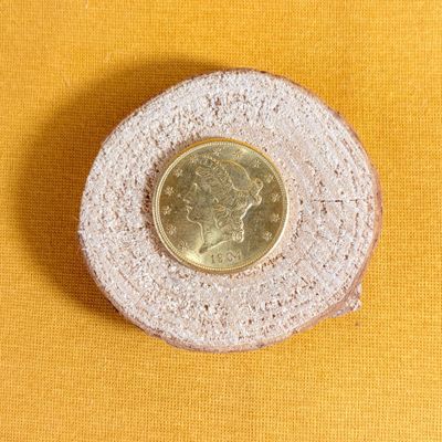 a small coin sitting on top of a piece of wood