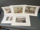 Plusieurs photos d'animaux sont posées sur une table devant un ordinateur portable