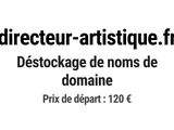 Photo 1/1 du lot