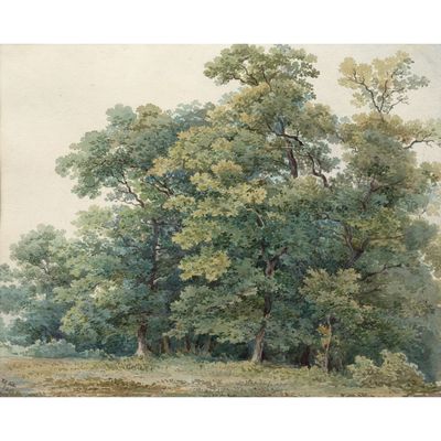 une image représentant un tableau montrant des arbres dans un champ