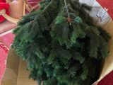 a cardboard box with a christmas tree in it on the floor