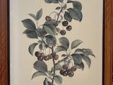 painting of a branch of cherries with leaves and berries in a wooden frame