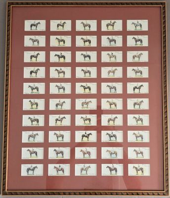 une photo représentant un tableau encadré représentant des chevaux accroché au mur